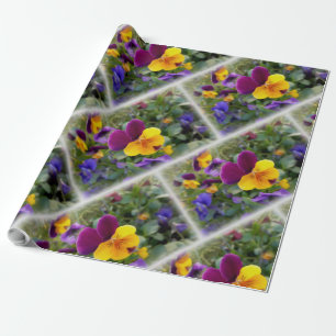Shining pansies wrapping paper