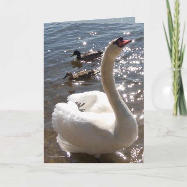 Shining Star Card (Front)