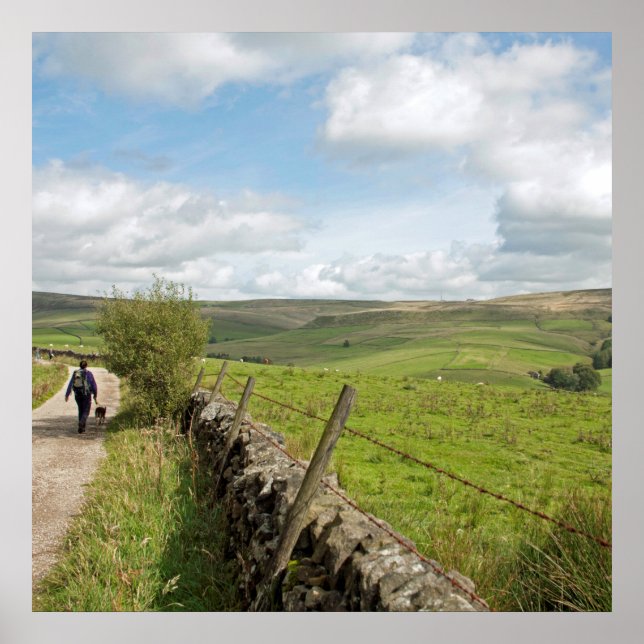 Shining Tor and Cats Tor Postcard Cushion Poster (Front)