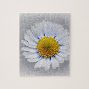 shining white daisy jigsaw puzzle