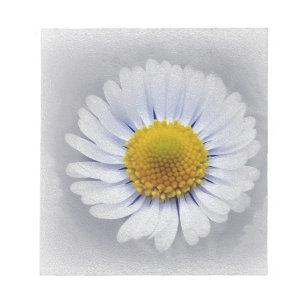 shining white daisy notepad