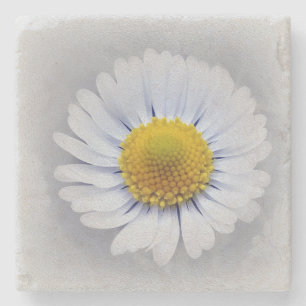 shining white daisy stone coaster