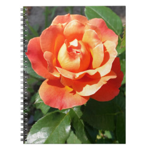 shining yellow rose spiral notebook