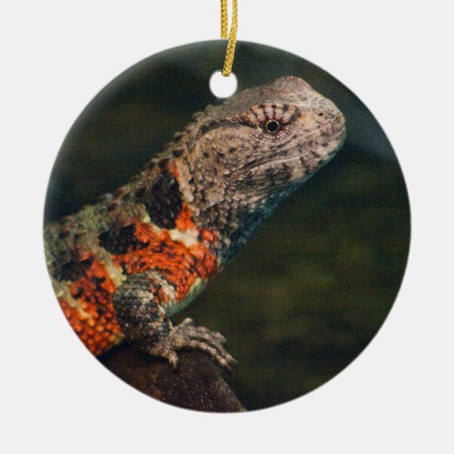 Shinisaurus crocodilurus ceramic tree decoration (Front)