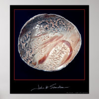 Shino Bowl ~ 1988