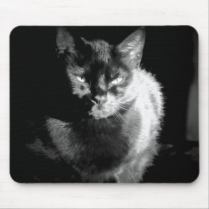 Shiny Black Cat Mouse Pad