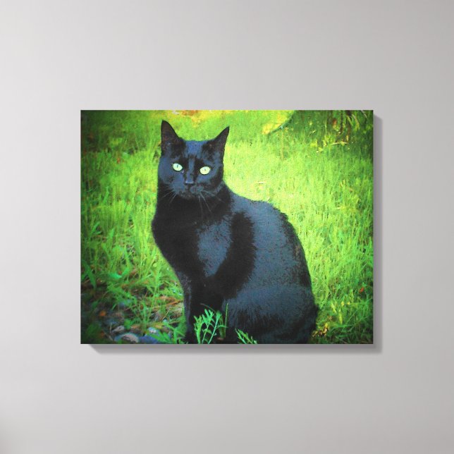 Shiny Black Kitty on grass Canvas Print (Front)