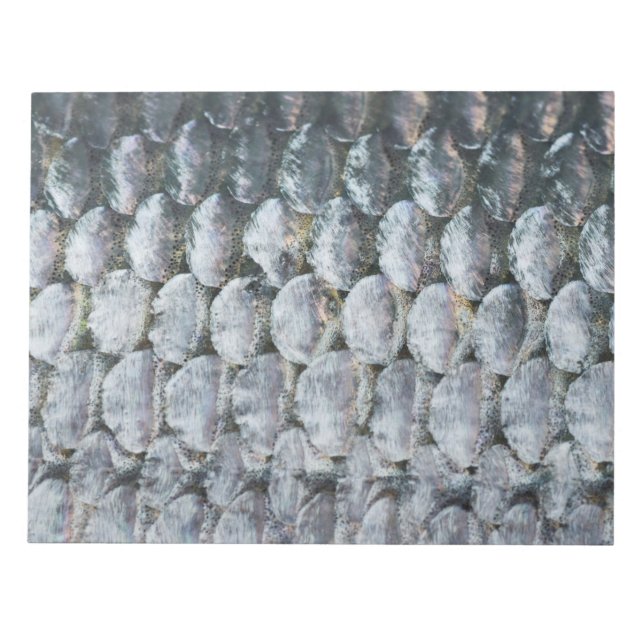 Shiny Salmon Scales Notepad (Front)