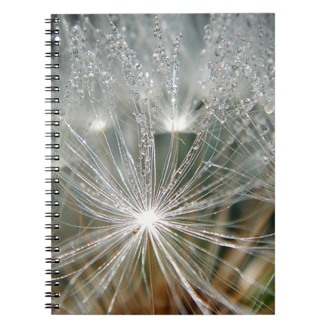 Shiny waterdrops on a white dandelion notebook (Front)
