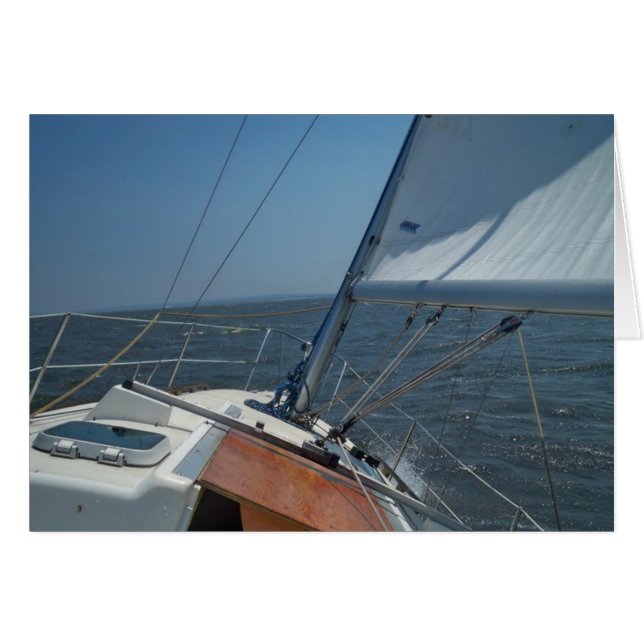 ship ahoy (Front Horizontal)