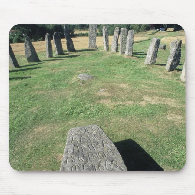 Ship setting mouse pad (Front)