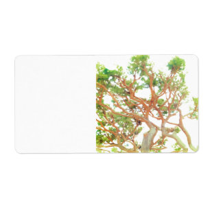 shipping Address Label