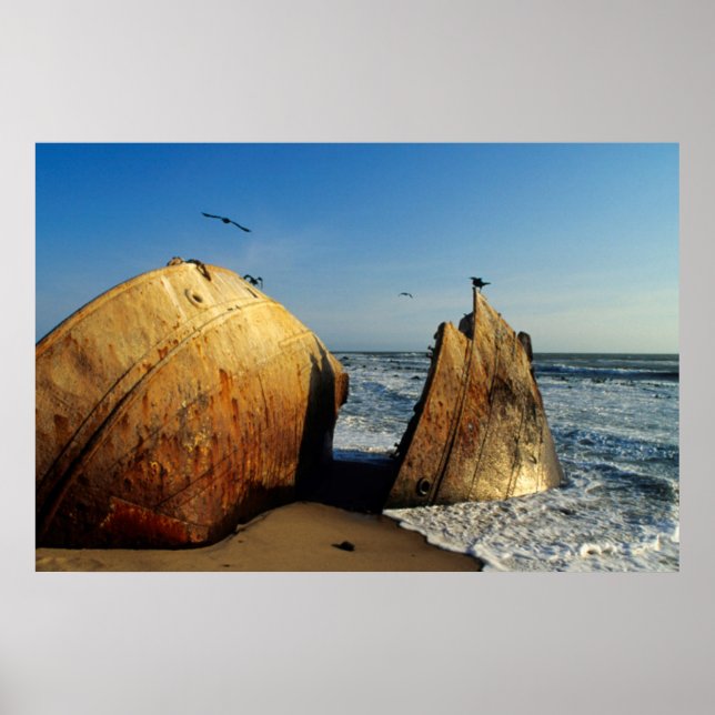 Shipwreck On Beach, Skeleton Coast, Namibia Poster (Front)