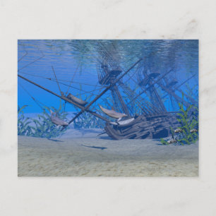 Shipwreck Postcard