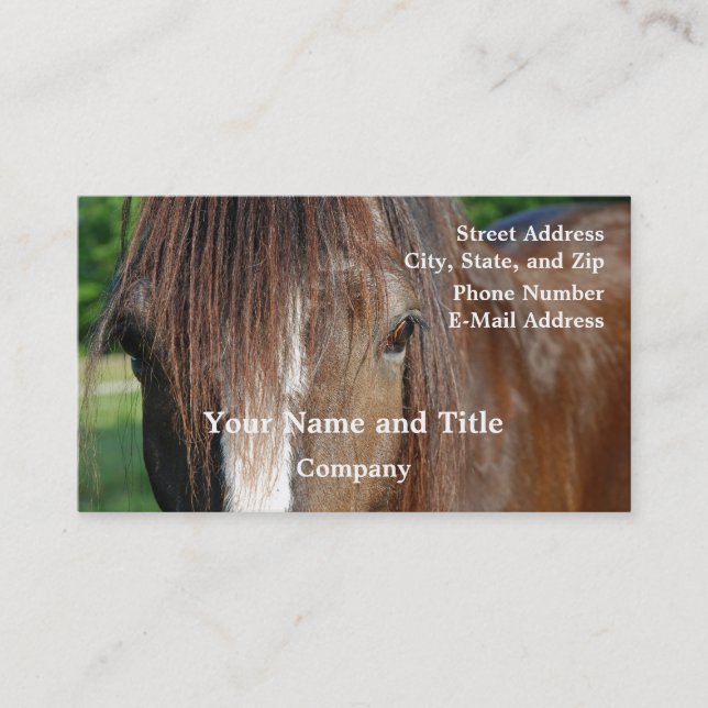 shire business card (Front)