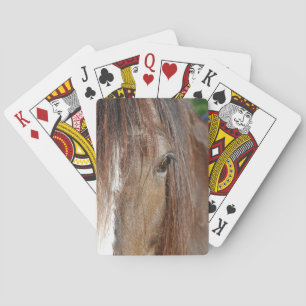 shire playing cards