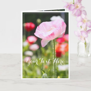 Shirley Poppy [Greeting Card] カード Card