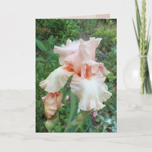 Shirley's Iris Card