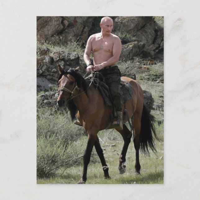 Shirtless Putin Rides a Horse Postcard (Front)