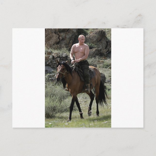 Shirtless Putin Rides a Horse Postcard (Front)