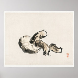 Shitake mushroom by Kōno Bairei (1844-1895) Poster