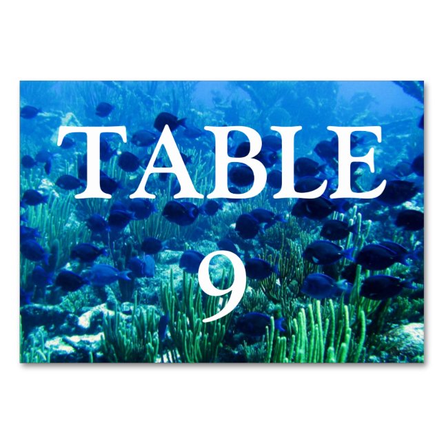 Shoal of Blue Discus Fish Table Number (Back)