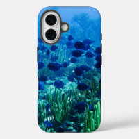 Shoal of Blue Discus Fish Underwater Photo