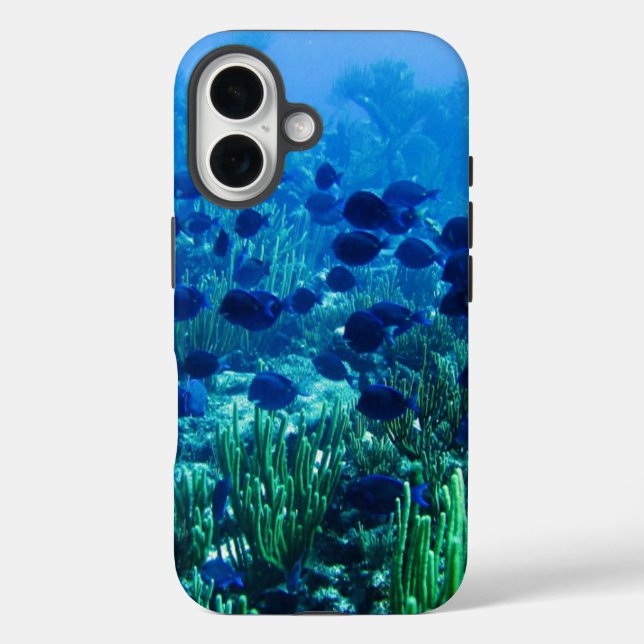 Shoal of Blue Discus Fish Underwater Photo Case-Mate iPhone Case (Back)
