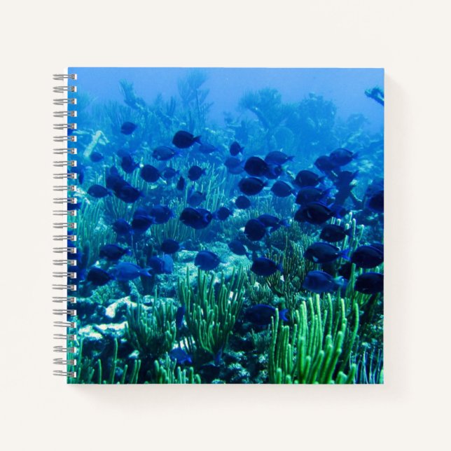 Shoal of Blue Discus Fish Underwater Photo Notebook (Front)