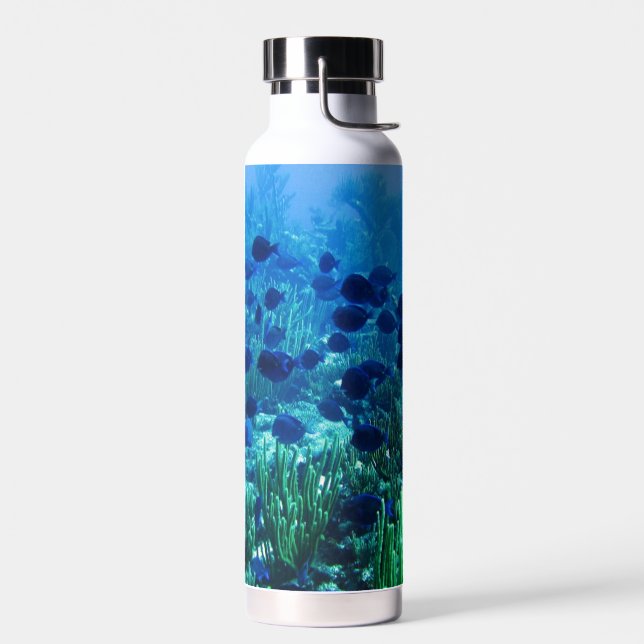 Shoal of Blue Discus Fish Underwater Photo Water Bottle (Left)