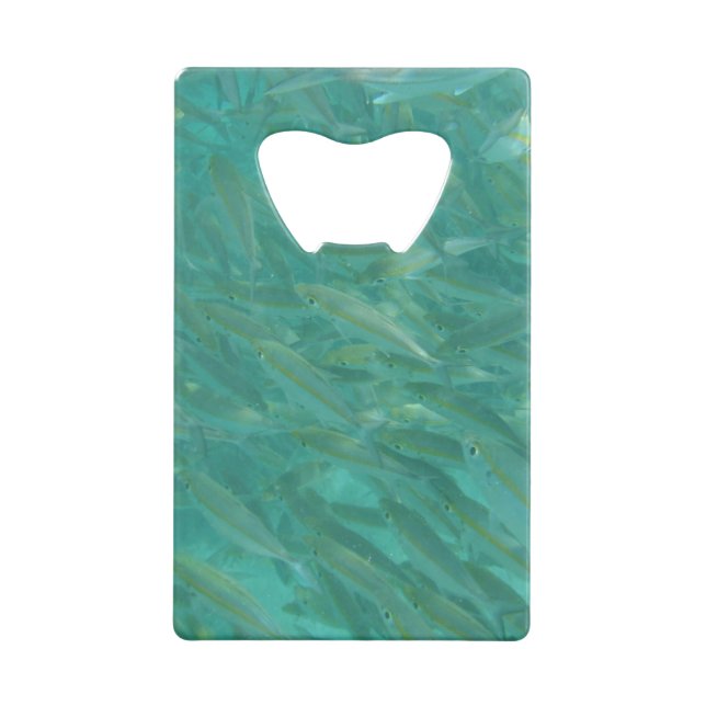 Shoal of Fish (Back)