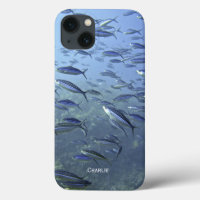 Shoal of Fish. Diving Underwater. Personalise.