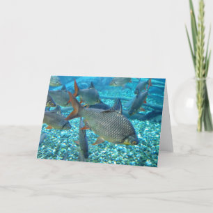 Shoal of Fish Holiday Card