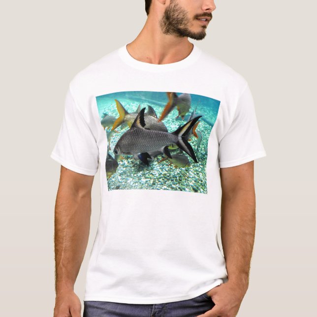 Shoal of fish in springtime, Spain T-Shirt (Front)