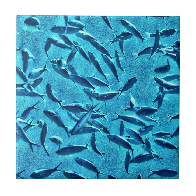 Shoal of Fish Tile (Front)
