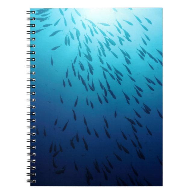 Shoal of fishes spiral notebook (Front)