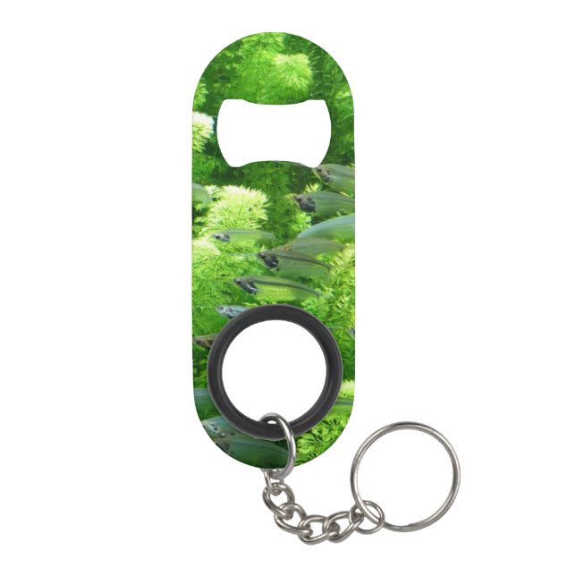 Shoal of Transparent Silver Fish (Back)