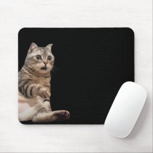 Shocked Cat Meme Mouse Pad