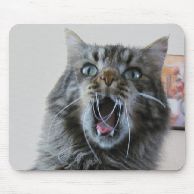 Shocked kitty is shocked mouse pad (Front)
