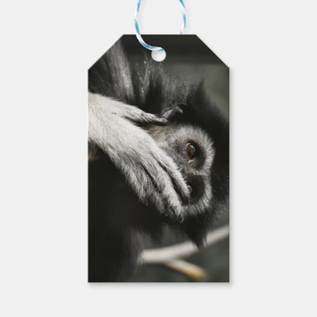 Shocked Monkey Custom Gift Tags (Front)