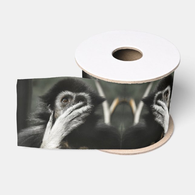 Shocked monkey grosgrain ribbon (Spool)