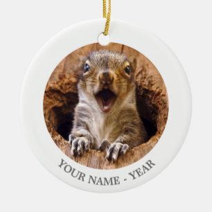 Shocked Squirrel Ceramic Tree Decoration