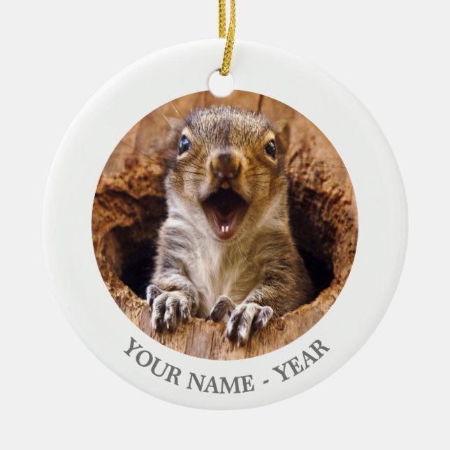 Shocked Squirrel Ceramic Tree Decoration (Front)