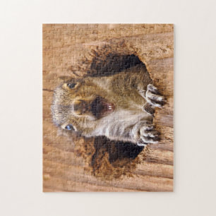 Shocked Squirrel Jigsaw Puzzle