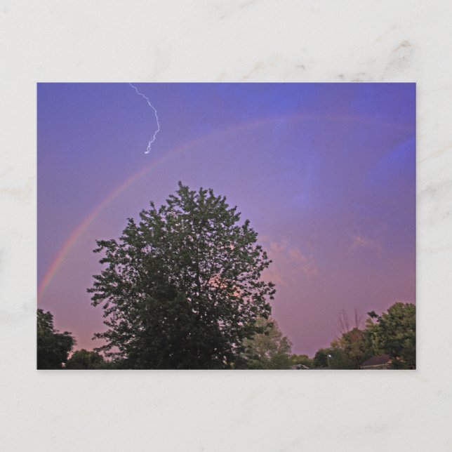 Shocking Rainbow Postcard (Front)