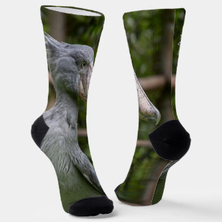 Shoebill (Balaeniceps rex) Socks