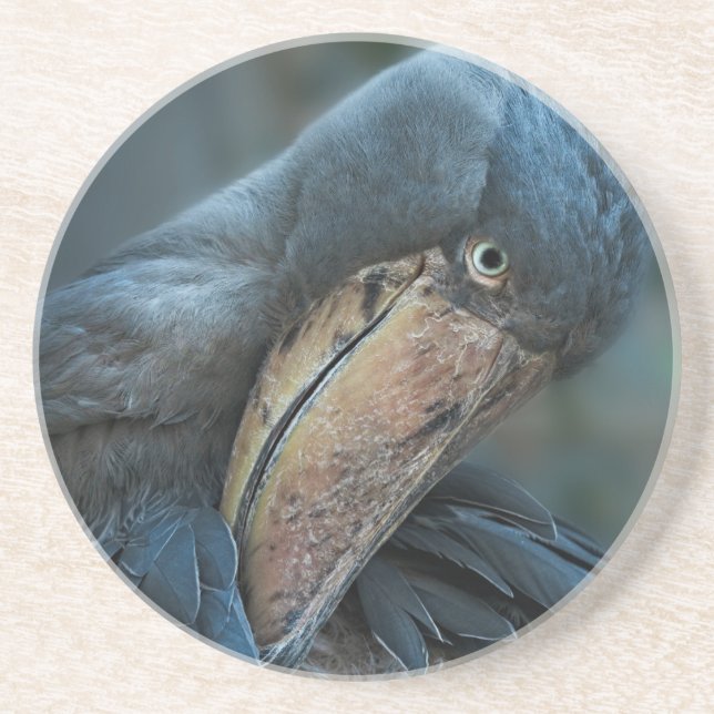 Shoebill Coaster (Front)