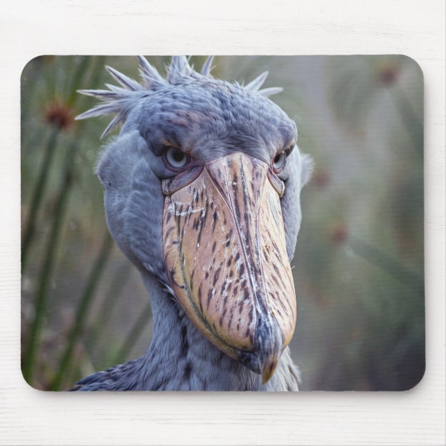 Shoebill Mouse Pad (Front)