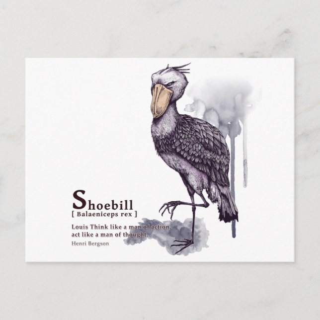 shoebill - plum postcard (Front)