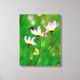 Shooting Star Wildflowers in Mission Trails Park Canvas Print